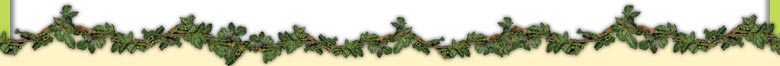 Buy Plastic Vines Online